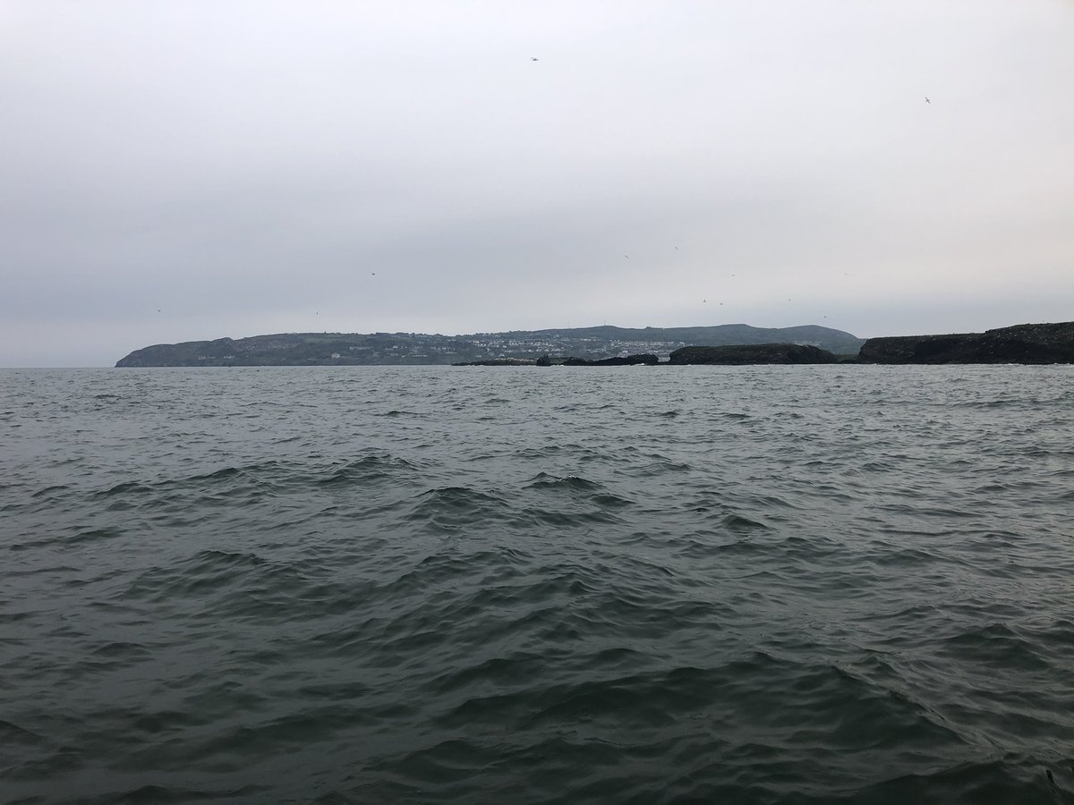 PortmarnockSubAqua tweet media