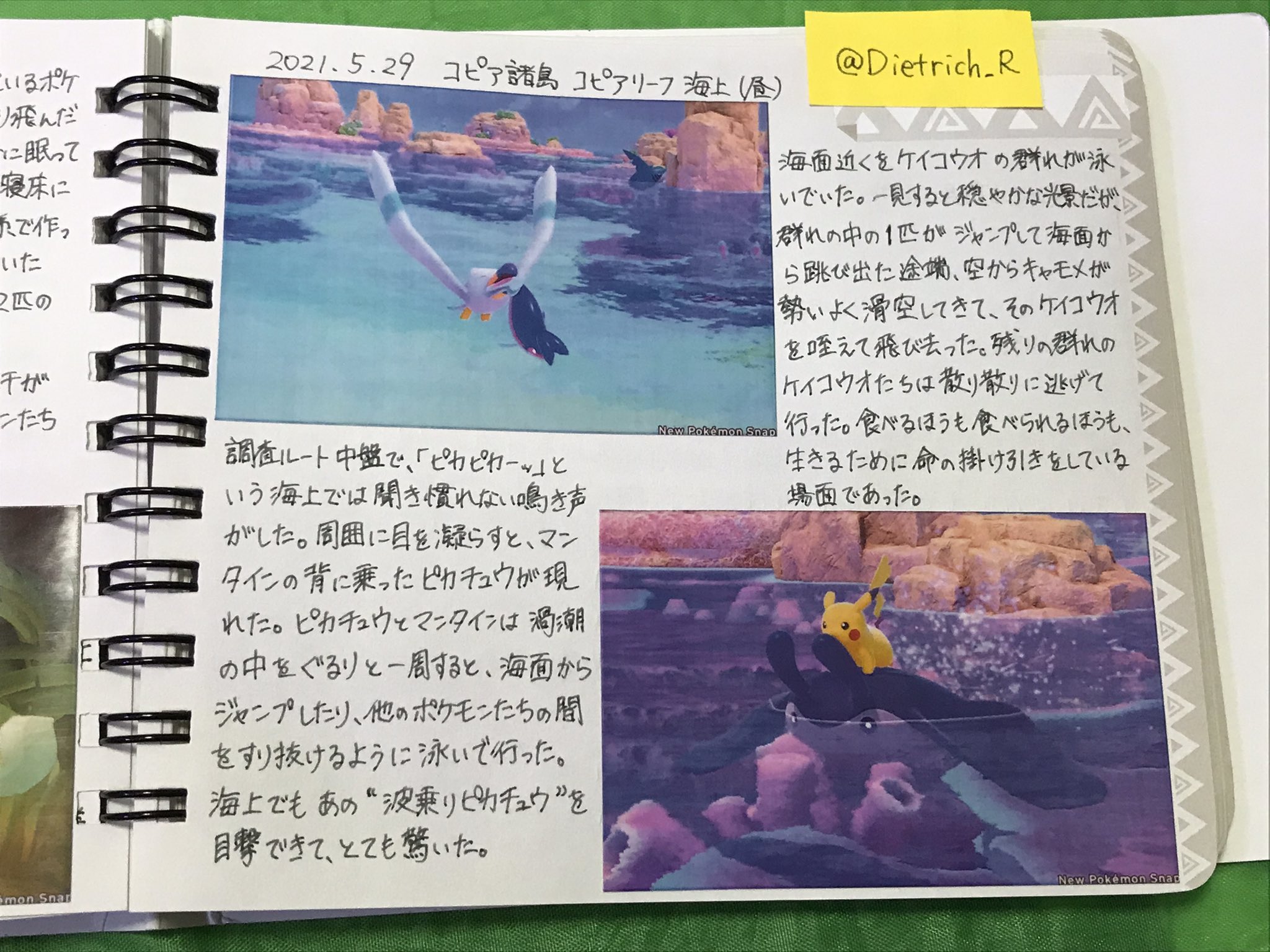おすとらこーだ イモリを飼う貝形虫 ポケモンスナップ調査記録 フォト図鑑ノートが厚くなってきた T Co Ayxooctbcn Twitter