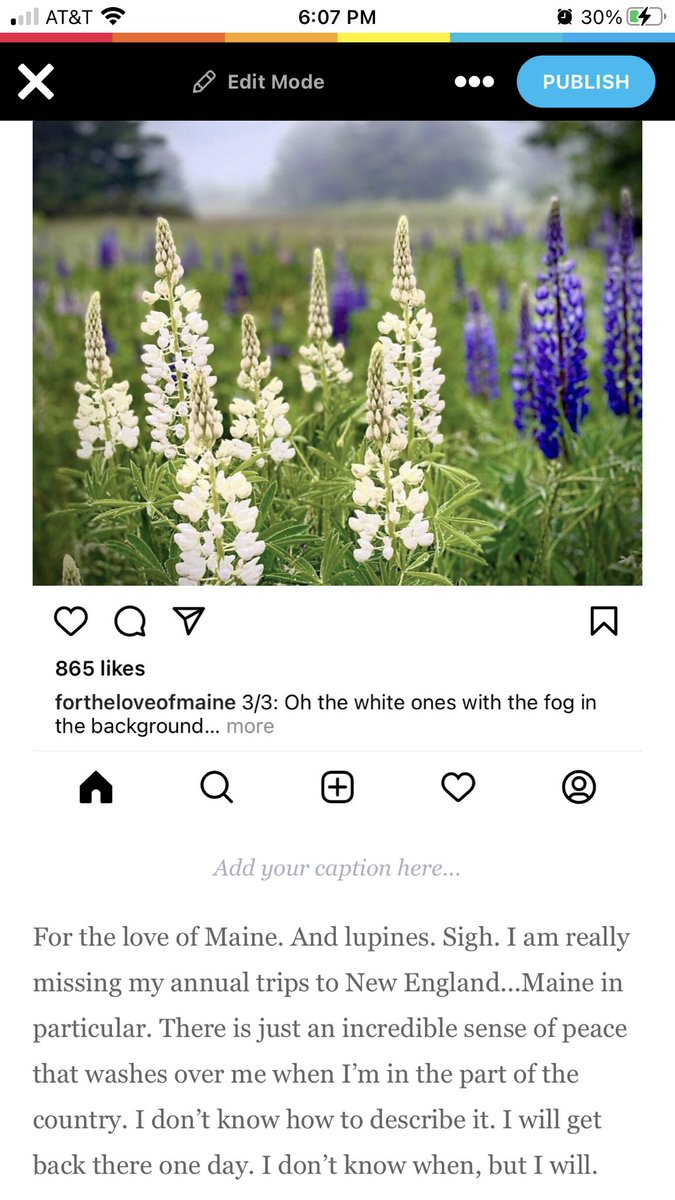 beckybarrett00's tweet photo. 60 Days of Summer Writing - Day 5
This one was a challenge for me. Inspiration didn’t come as I’d expected. #KatyISDWrites #KatyISDELA https://t.co/yXSIT8bDnc