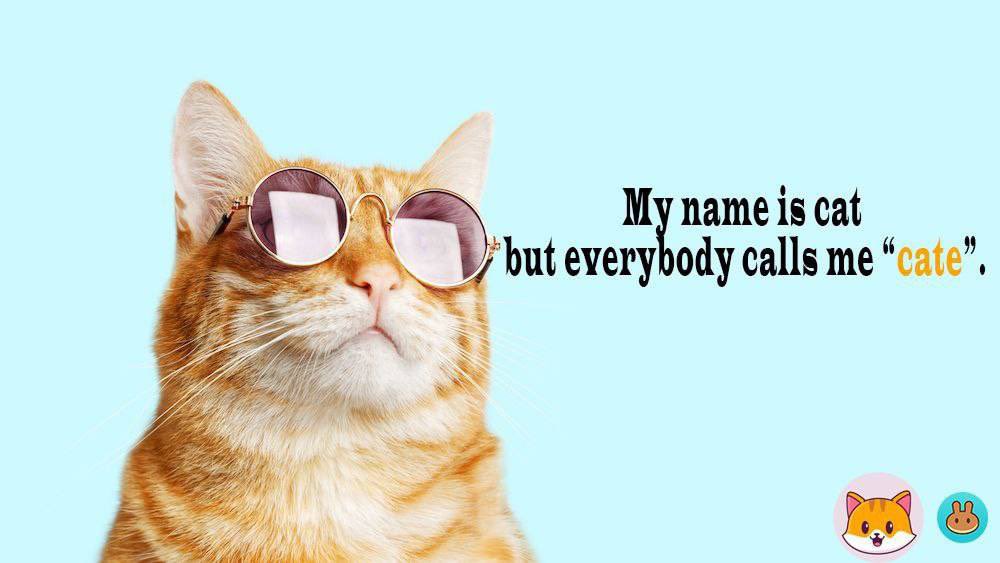 CateCoin_Hodler's tweet photo. @Poloniex $CATE to the moon! List #catecoin 🚀🚀🚀 https://t.co/MMe51rQ3Tg