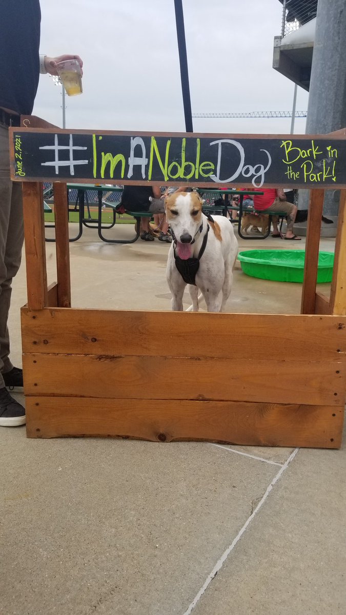 #ImANobleDog
<a href="/GreenvilleDrive/">Greenville Drive</a> <a href="/nobledoghotel/">nobledoghotel</a> 
<a href="/ericsjarinko/">Eric Jarinko</a> I have your pinch runner!