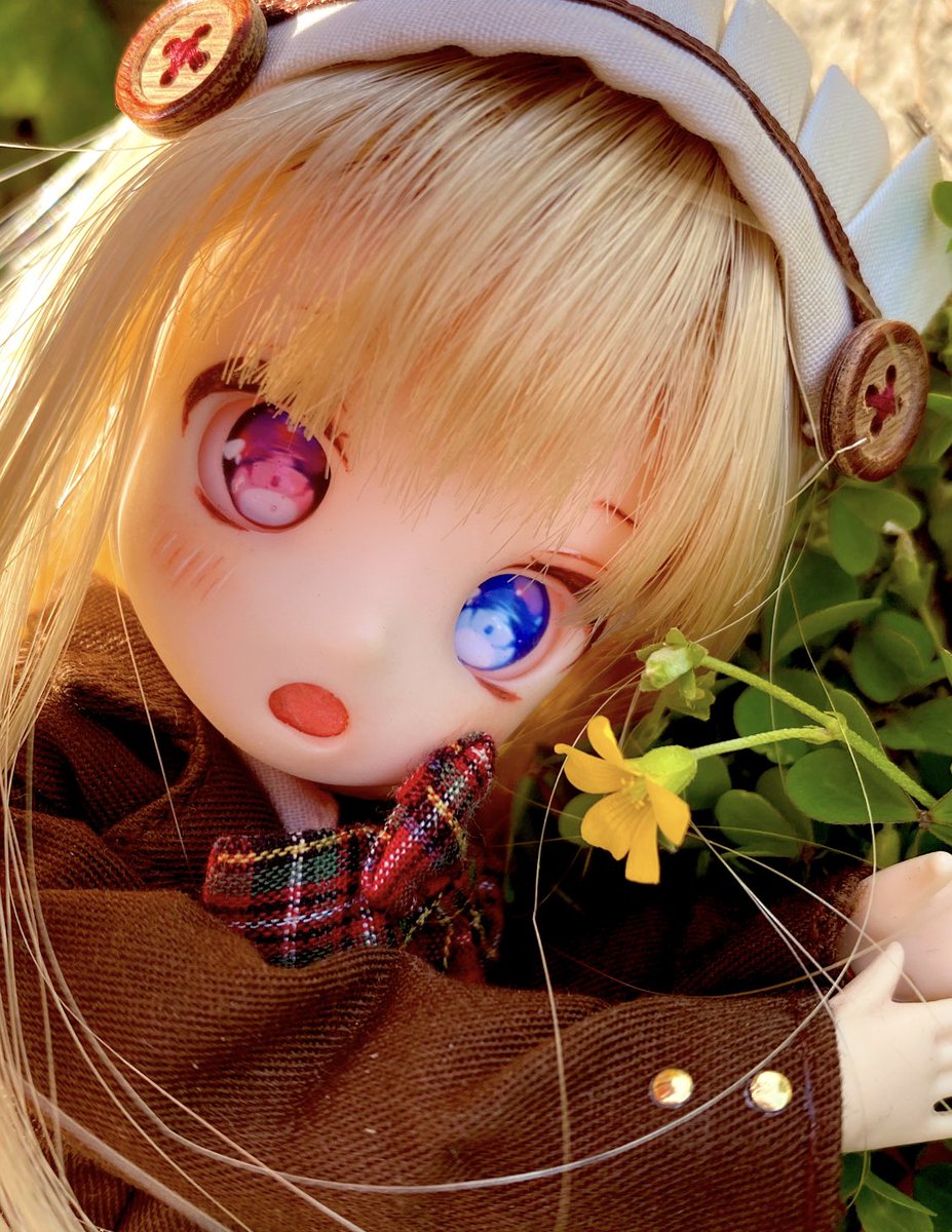 お花さん🌼と東雲ちゃん☺️🎶

可愛いなぁ〜 ✩‧₊˚₍ᐢ⸝⸝› ̫ ‹⸝⸝ᐢ ₎💕

#うちのこかわいい 
#ノードール・ノーライフ
#東雲ちゃん