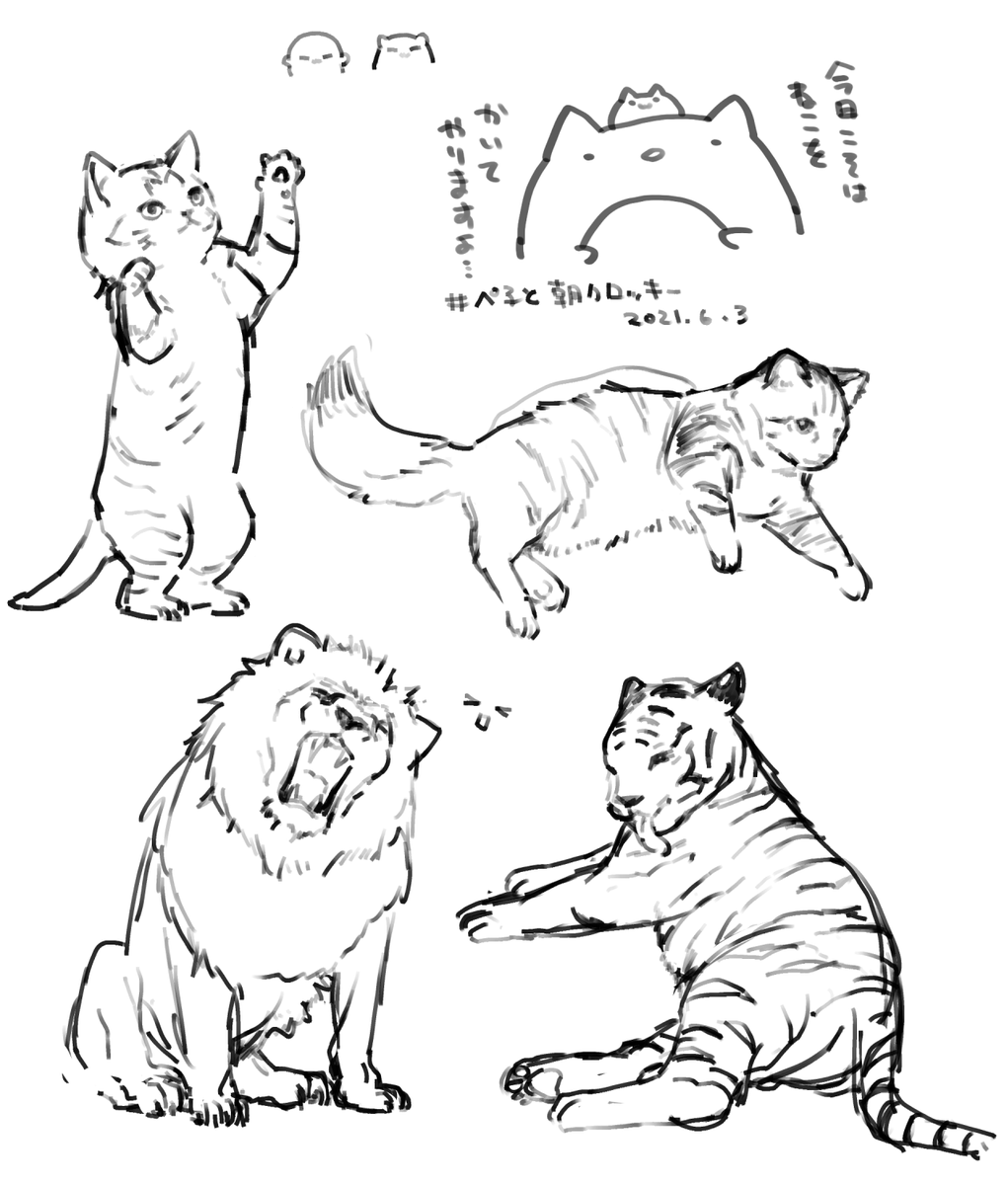 本日もご参加ありがとうございます
ねこリベンジ!
ライオンの顔がかっこよく描けた気がする
解説も聞いてくれた人ありがとね～～～

#ぺ子と朝クロッキー 