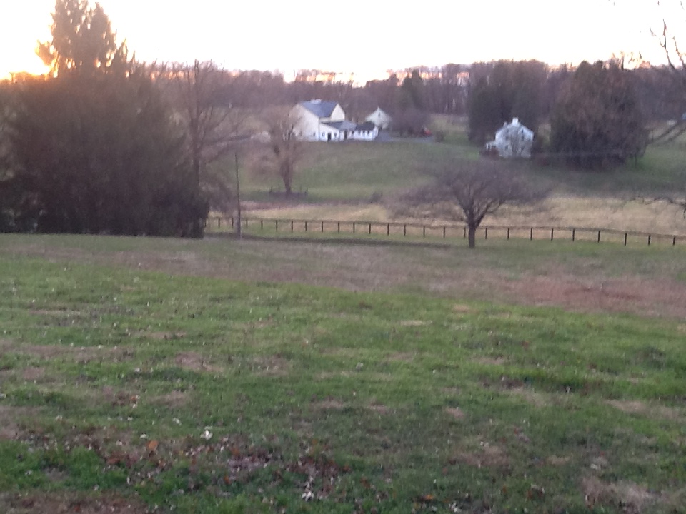 This is the view from my brothers window's . All thoroughbred horse farms