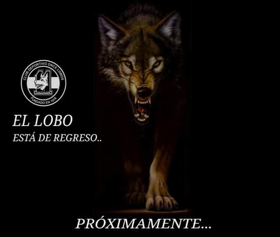 Ya estamos de regreso.