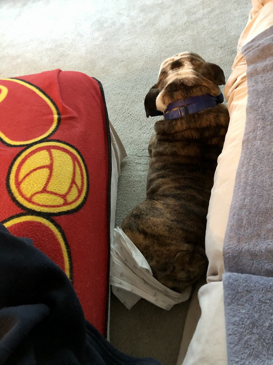 Ottoman moved, I fell. Diaper off. Nothing to see here