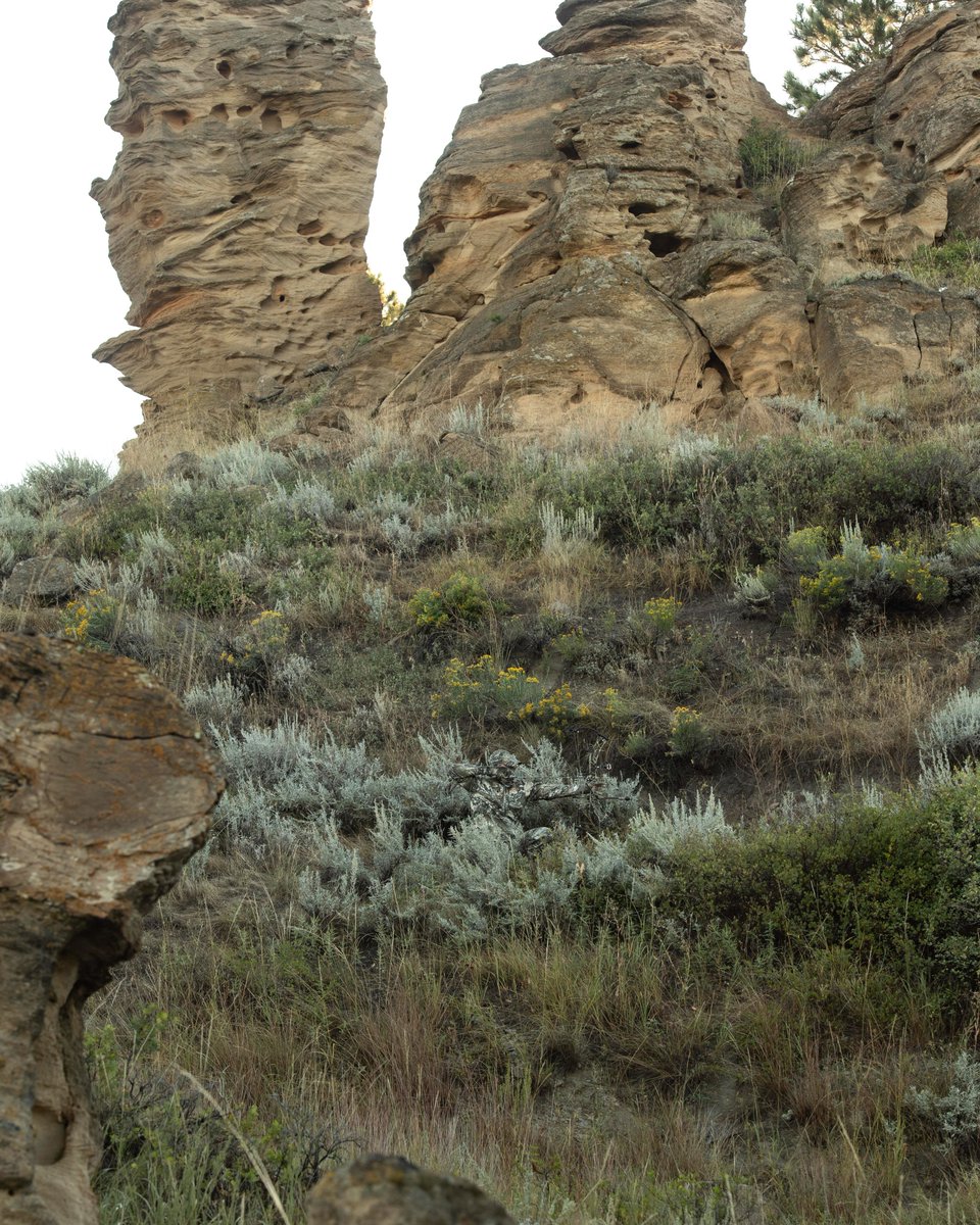Realtree's tweet photo. Match • Disrupt • Conceal
#RealtreeExcape https://t.co/xULUHoRwQU