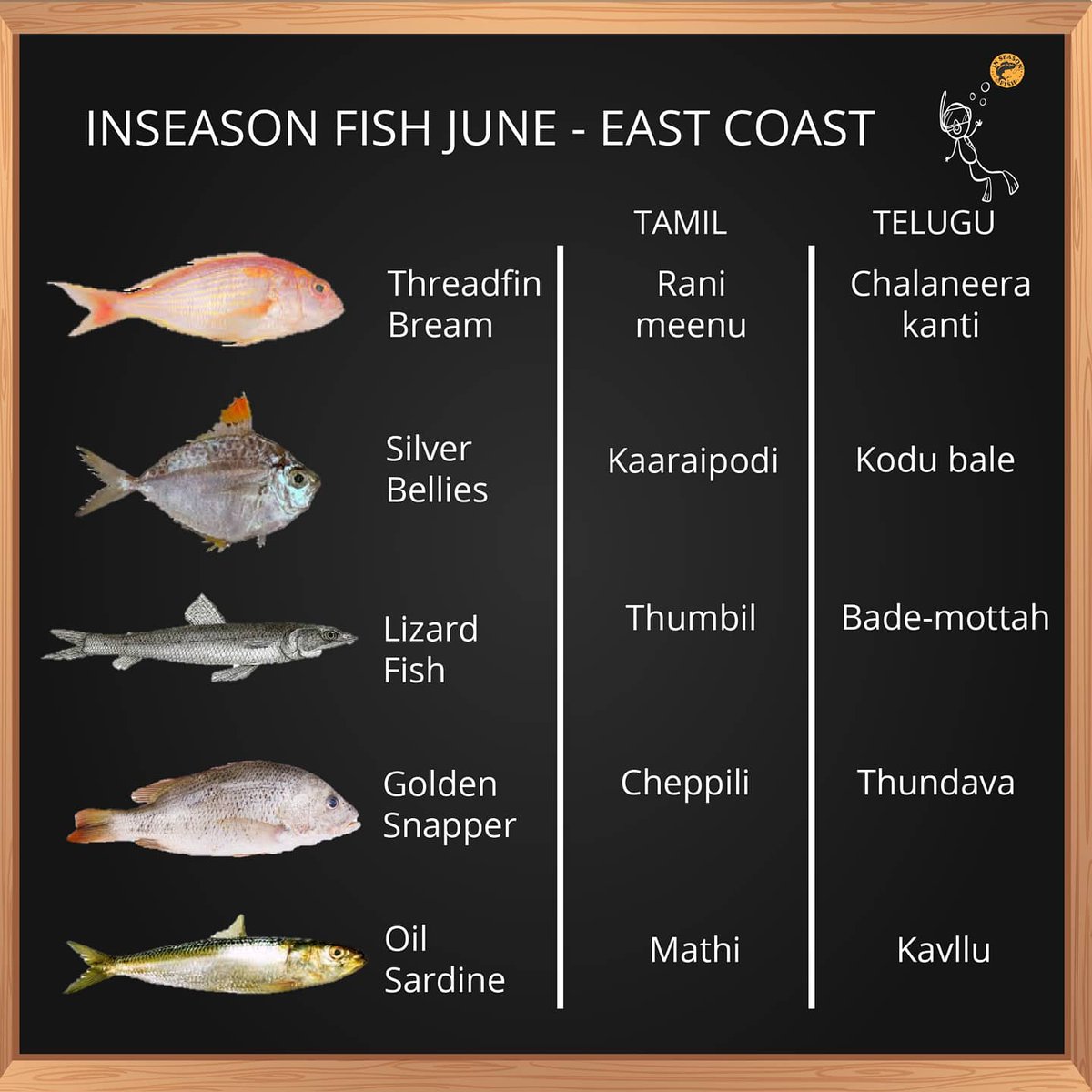 It's the beginning of the month and it's time for our monthly #InSeason recommendations!

Visit inseasonfish.com for more recommendations.

#eatinseason #askforinseasonfish #seafood #seafoodlover #sustainableeating #eatright #eatseasonal #knowyourfood #seasonaleating