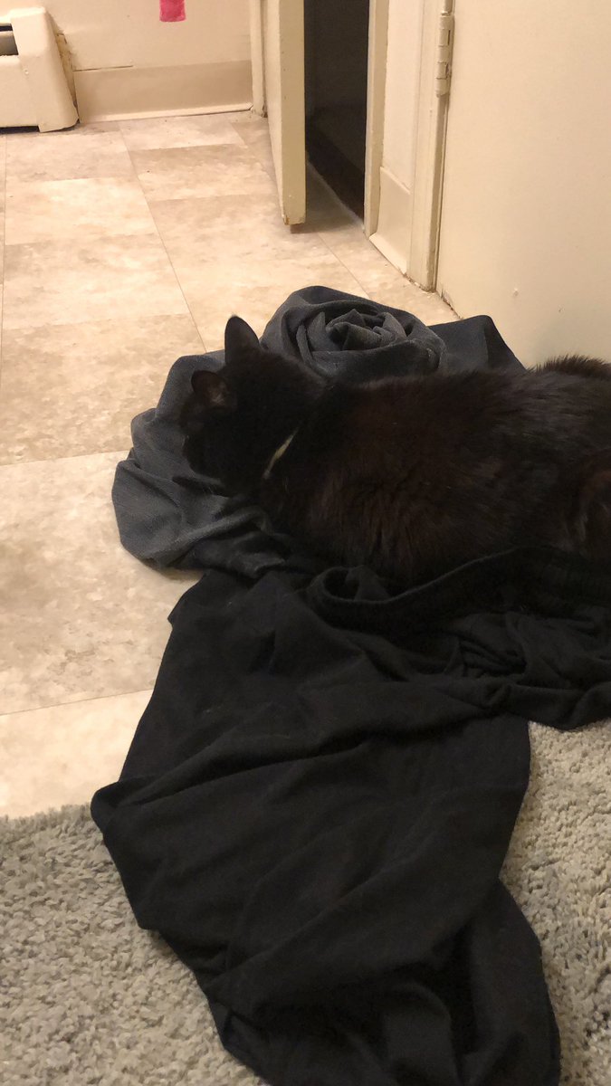 nerdlauren's tweet photo. She’s so concerned about the bath water I might be trapped in, she had to sleep on my pjs https://t.co/1Vy2zE14PS