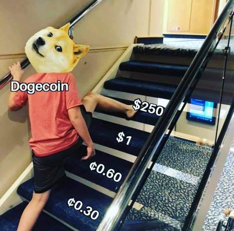 Whitey102796's tweet photo. @DogecoinRide I'm imagine this! #Dogecoin.
Also enough with the "Market cap" bs. I believe in the $250 dogecoin! Seen crazier things in Life... 
#WeBecomeWhatWeThinkAbout
Also do not live in the doubt, but more like live as though #Dogecoin is $250! https://t.co/JqJEdzVe7x