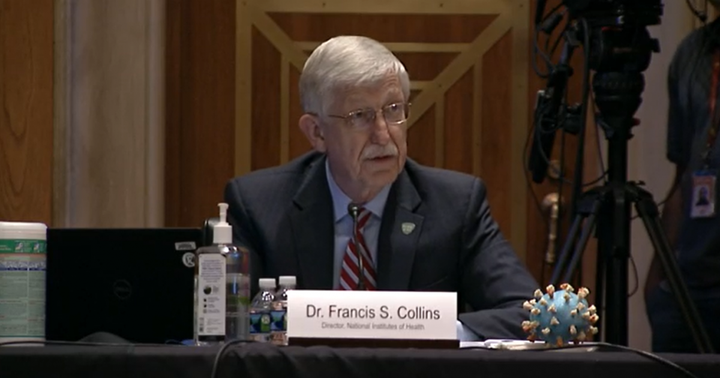 mind_europe's tweet photo. Dr. Fancis Collins, Director of the US National Institutes of Health (https://t.co/Dec7BHGblk) mentioned the promise of psychedelics for mental health treatment. Authorities worldwide open up for the substance class. Also: https://t.co/kvkakDoXFC
#INSIGHTconference #INSIGHT2021 https://t.co/dcWnWflbWg