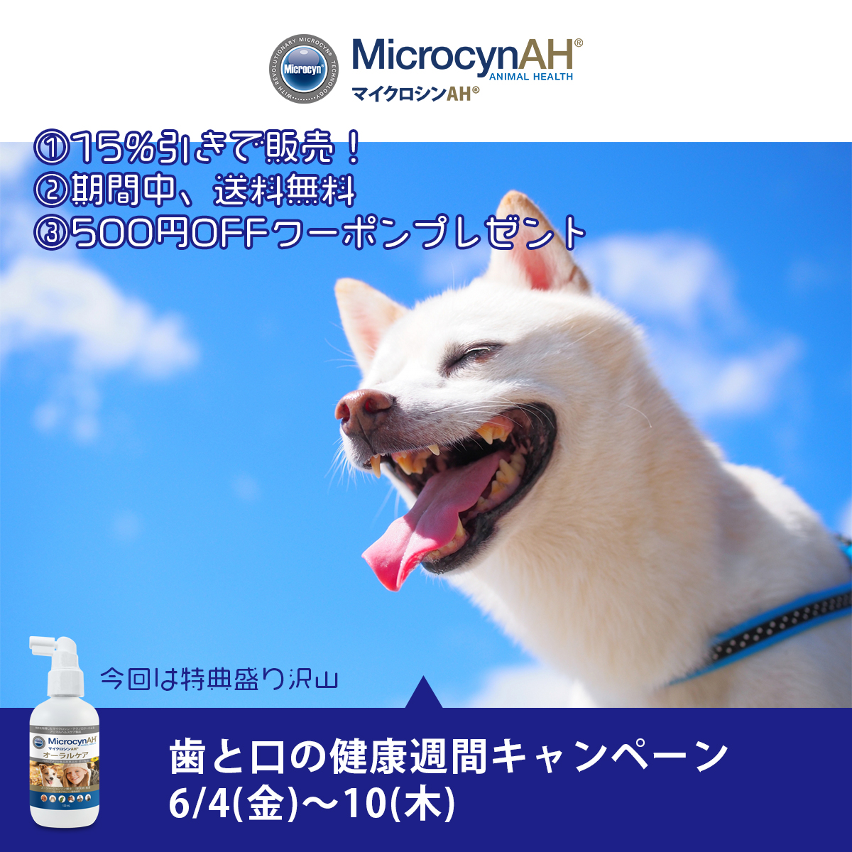 市場 ワールド World プロダクツ ペットケア Care マイクロシンAH Products Pet