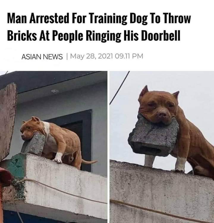 RtclickRefresh's tweet image. डोक्यात वरवंटा आणि यांत्रिक कुत्रा याच्या पुढे गेलेलं जग।

#माझाशत्रूपक्ष
#पूलदेशपांडे