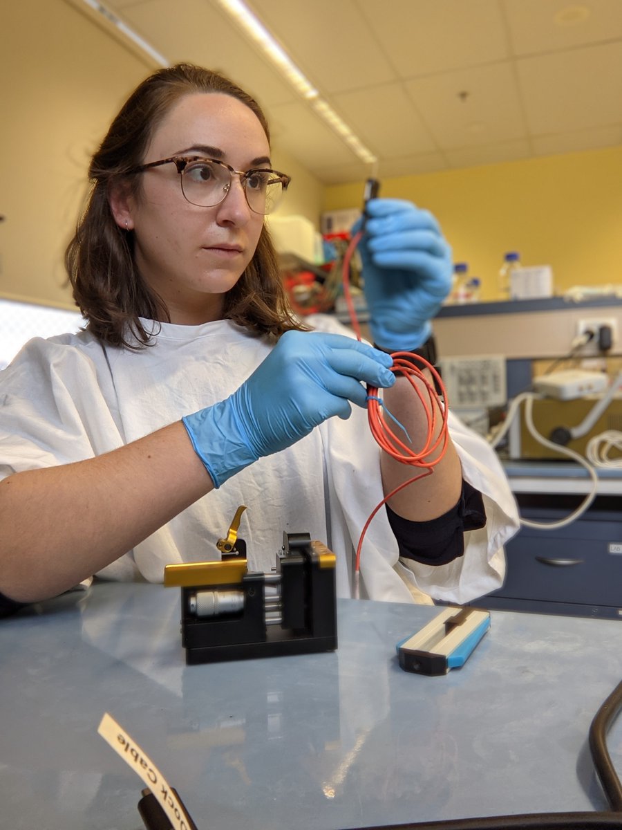BionicsInst's tweet photo. Congratulations to @UniMelbMDHS &amp; @BionicsInst PhD student Elise Ajay, winner of the top prize in the #PitchItClever video competition on her research into combining light and electricity to improve quality of sound in the cochlear. See the video here: https://t.co/6aHoMfYjJQ https://t.co/6v6AcFAAuk