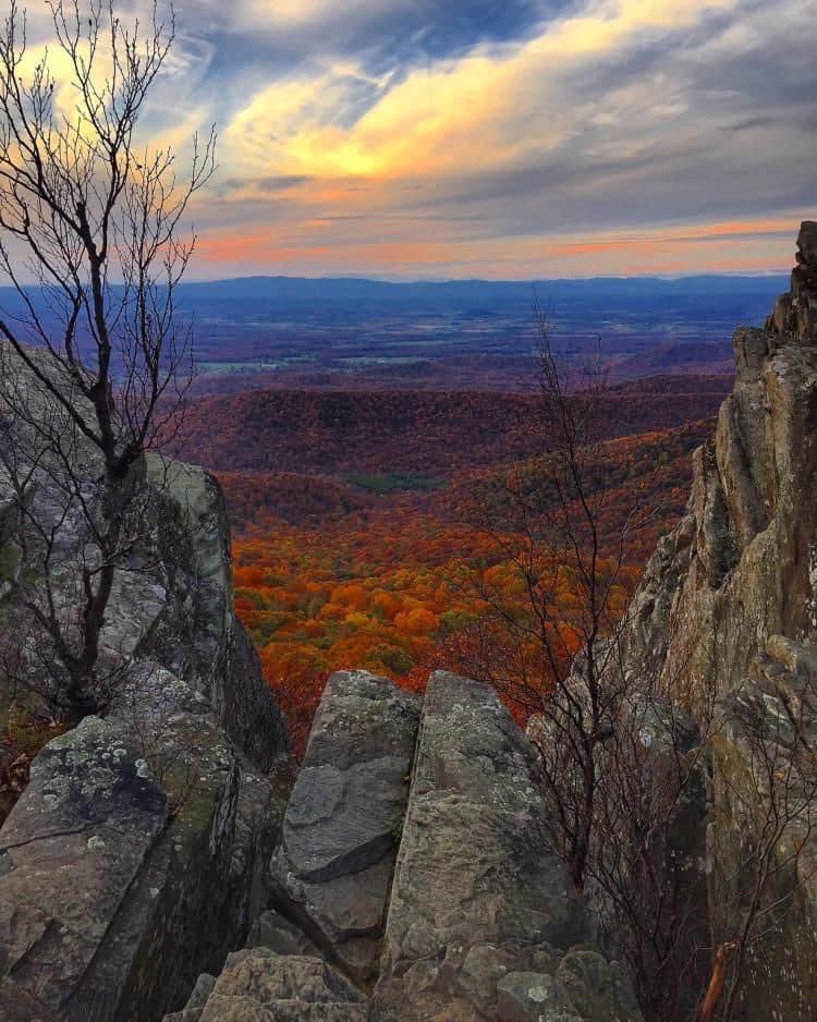 danie828's tweet photo. So I’ll be recruiting in Charlottesville Virginia for 3 days next week. All expenses paid. This is what my view will look like driving through there. 💞💞💕💕💕💕 I’ll be stopping here a few times 💕💕 🏔 #Humpback #HumpbackRock #WaynesboroVA https://t.co/7azIFqVCpc