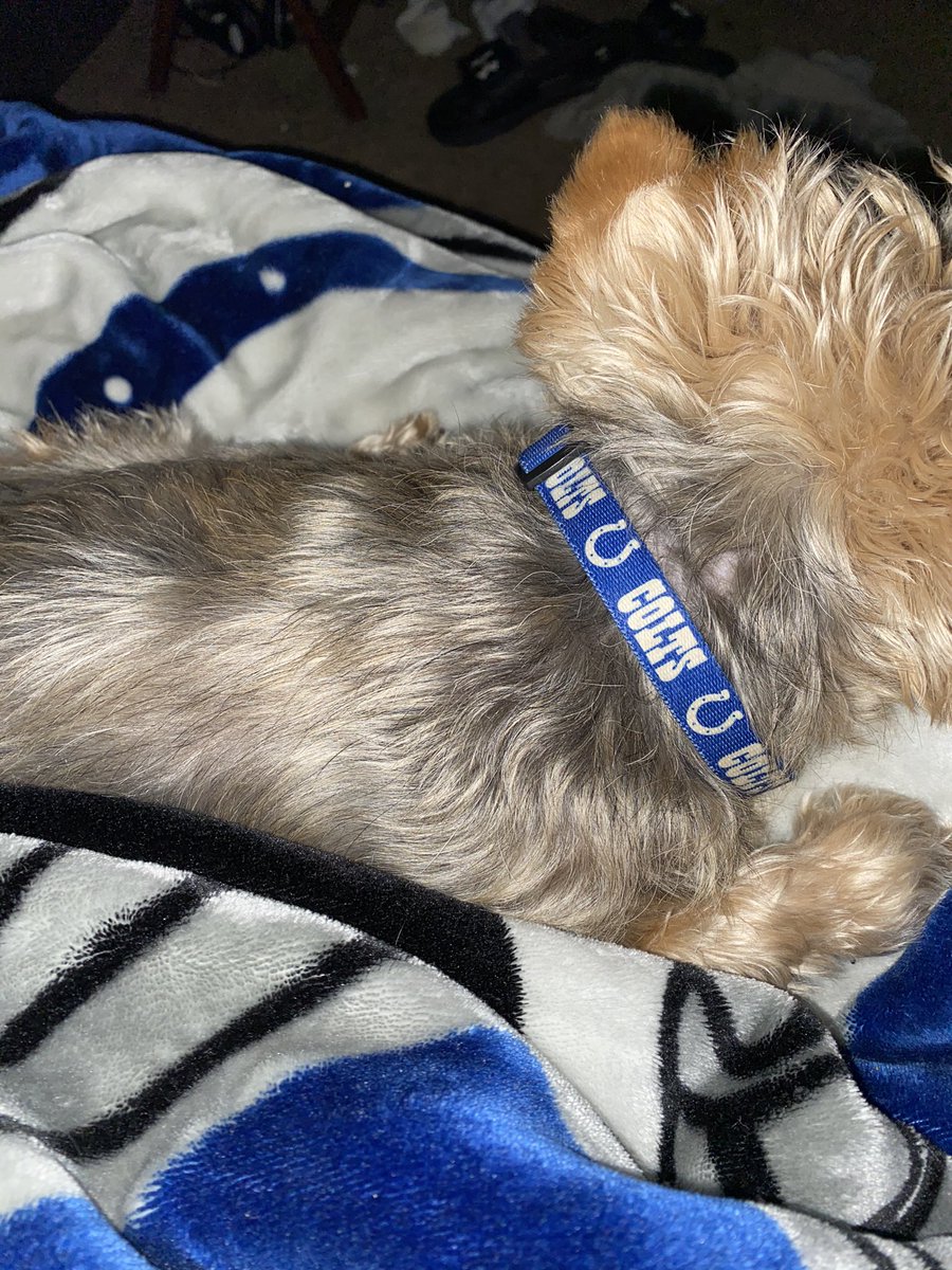 coltsfanlisaj's tweet photo. When you have to pee but you can’t move.
#SnoringBaby #Max https://t.co/4J6AMXyCRv