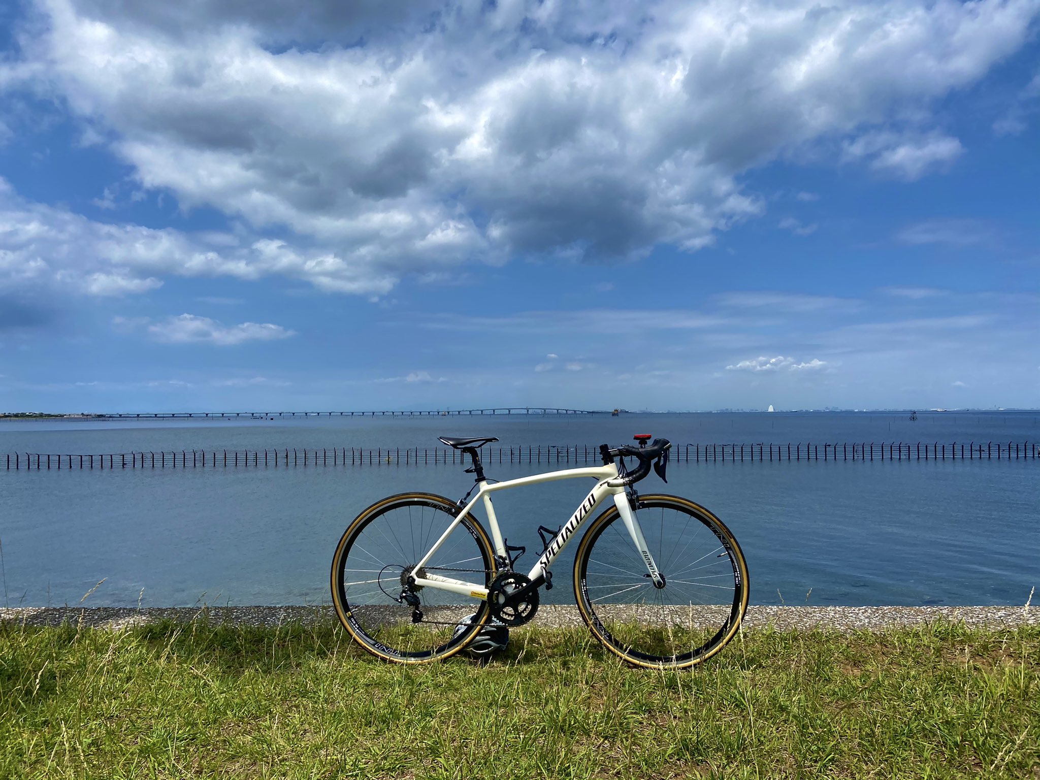 ロードバイク紹介 Specialized Tarmac Sl4 17 Tni 手組みホイール コンポ Ultegra 6800 Cs 5800 11 28 Crank Set Praxisworks Alba 170mm Easton Ec90 Aero 400mm たまに手賀沼サイクリングロード走ってます 自己満 T Co