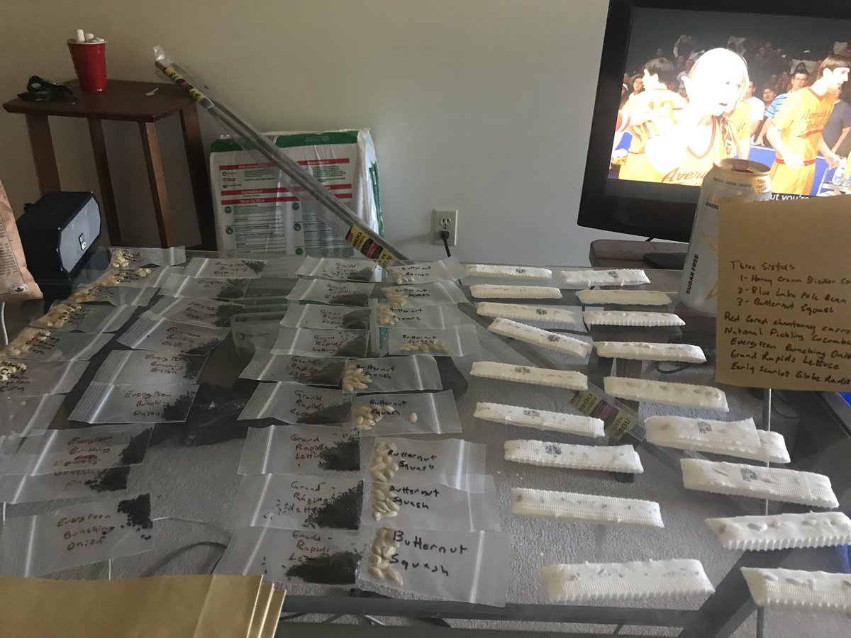 Seed packs for 25 families are ready to go! The seeds were generously donated to Secure Your Food by the Interfaith Food Bank shortly before the pandemic!  It’s now time to directly sow seeds for gardens! Happy Gardening!