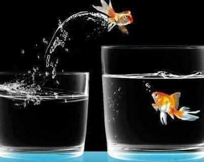 Kim Nasıl Tanıyorsa Beni ,
  Öyleydim İşte... 
     Sağ Tarafımda   E s a r e t ,
        Solumda   C e s a r e t . . .
Gününüz Aydın Olsun Her Daim..🕊️💙🕊️