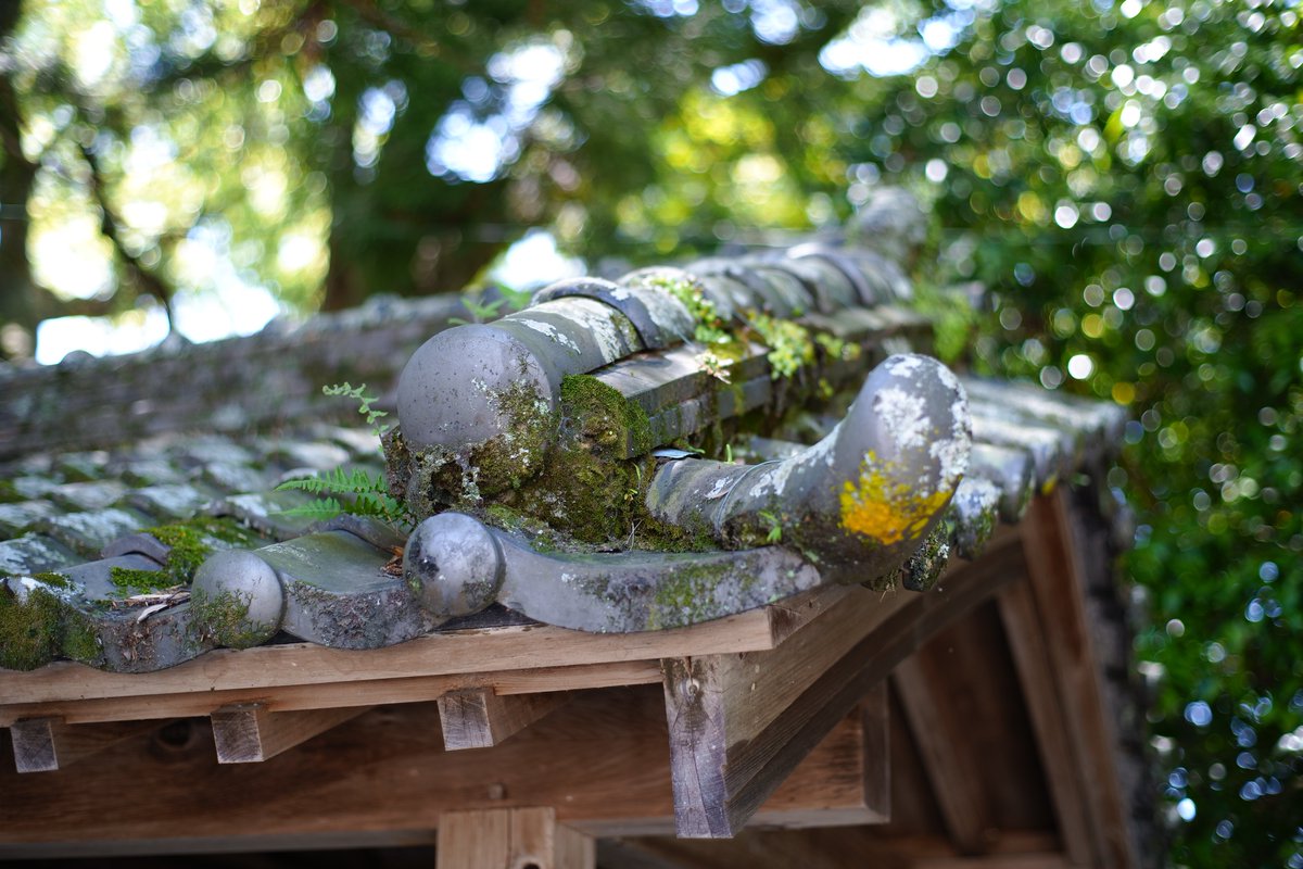 シンさん tweet media