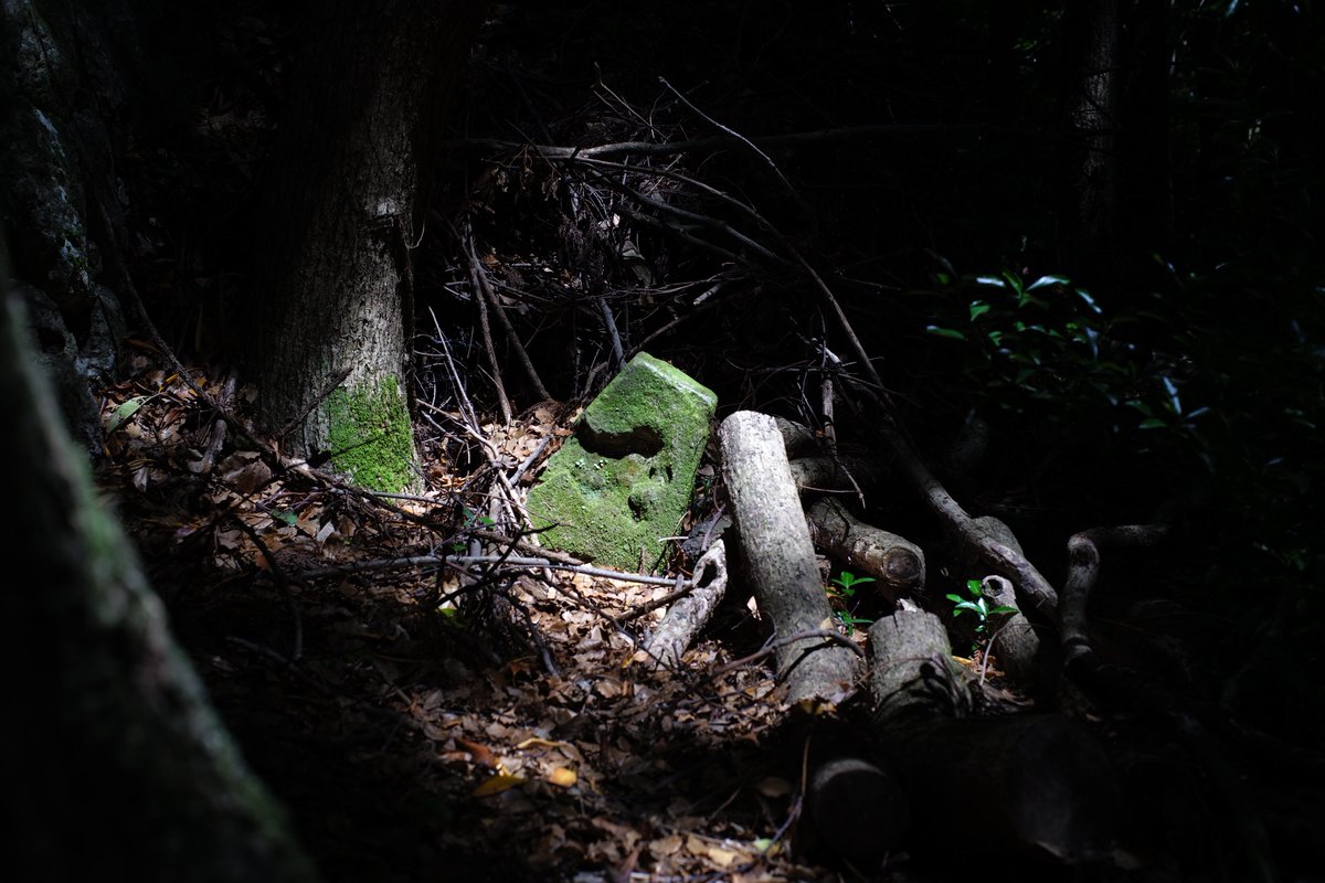 シンさん tweet media