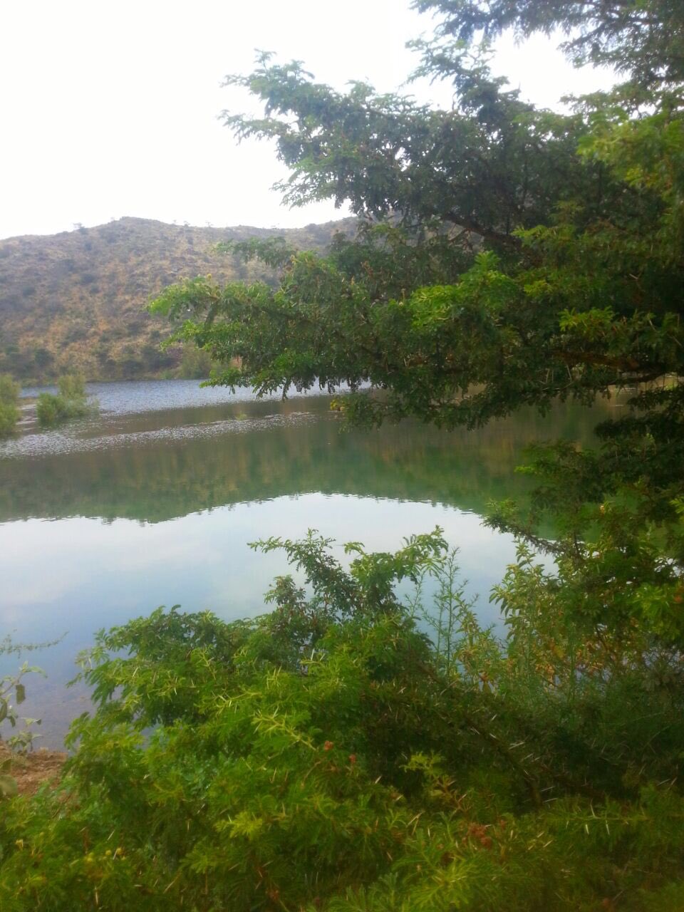 عسير On Twitter المدينة العالية في ابها مجموعة من المقاهي والمطاعم في مكان واحد ممرات ومطلات مختلفة اطلالة على عقبة ضلع واطلالة على المدينة افضل وقت للزيارة من بعد العصر وفي