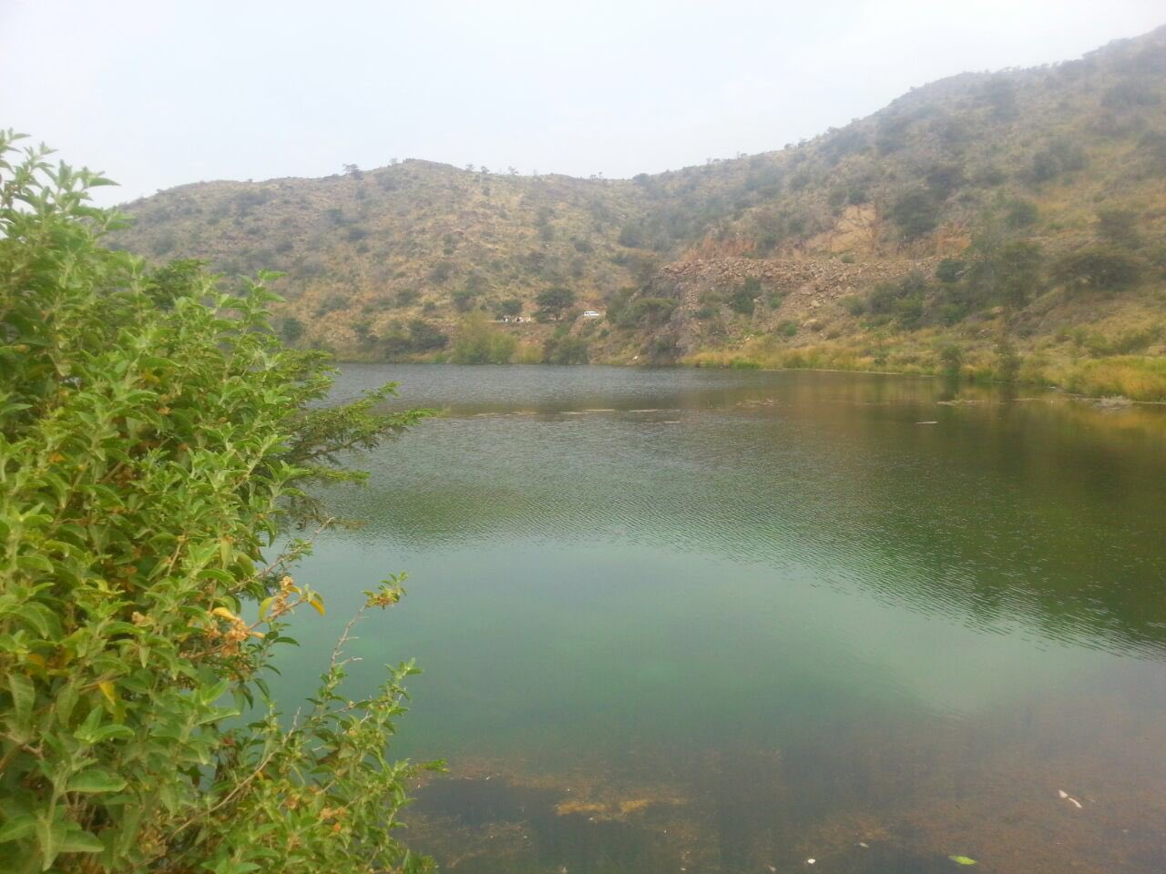 عسير On Twitter المدينة العالية في ابها مجموعة من المقاهي والمطاعم في مكان واحد ممرات ومطلات مختلفة اطلالة على عقبة ضلع واطلالة على المدينة افضل وقت للزيارة من بعد العصر وفي