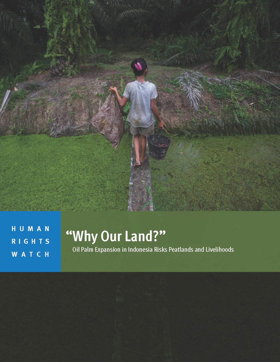 A child carries palm kernels collected from the ground across a creek at an oil palm plantation in Sumatra, Indonesia, November 2017. © 2017 Binsar Bakkara/AP Photo