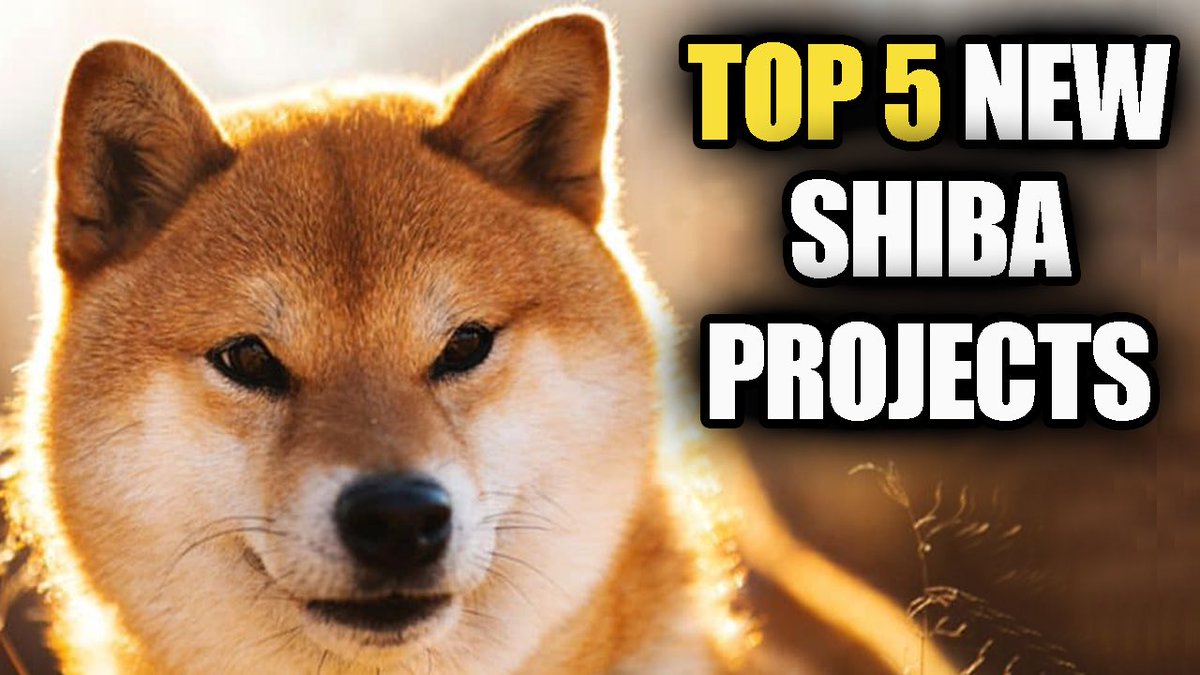 WatchThisRocket's tweet photo. My Top 5 New Shiba Projects with mind blowing low low market Caps
#Shiba #ShibaInu #ShibaCash #MARUshibaInuToken #HEROshiba #HeShiba #Inupad #InuToken #ShibaMadness #Doge #DogeCoin #AgentDoge #AgentDoge007 #Doge007 #Top5
YouTube Video Link: https://t.co/RcVoiC5woR https://t.co/SzkAZ5gHfP