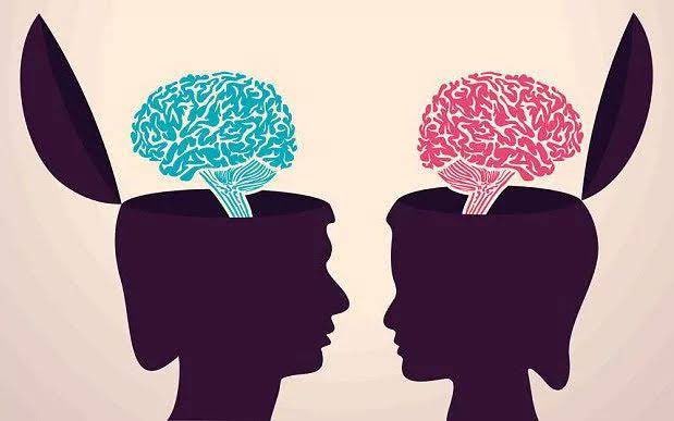 SoehannaHall's tweet photo. Male brains use almost seven times more gray matter for activity while female brains use nearly ten times more white matter
#factretriever #menfacts #womenfacts #didyouknow #funfact #trivia #soehannahall https://t.co/rxKy5a4aqP