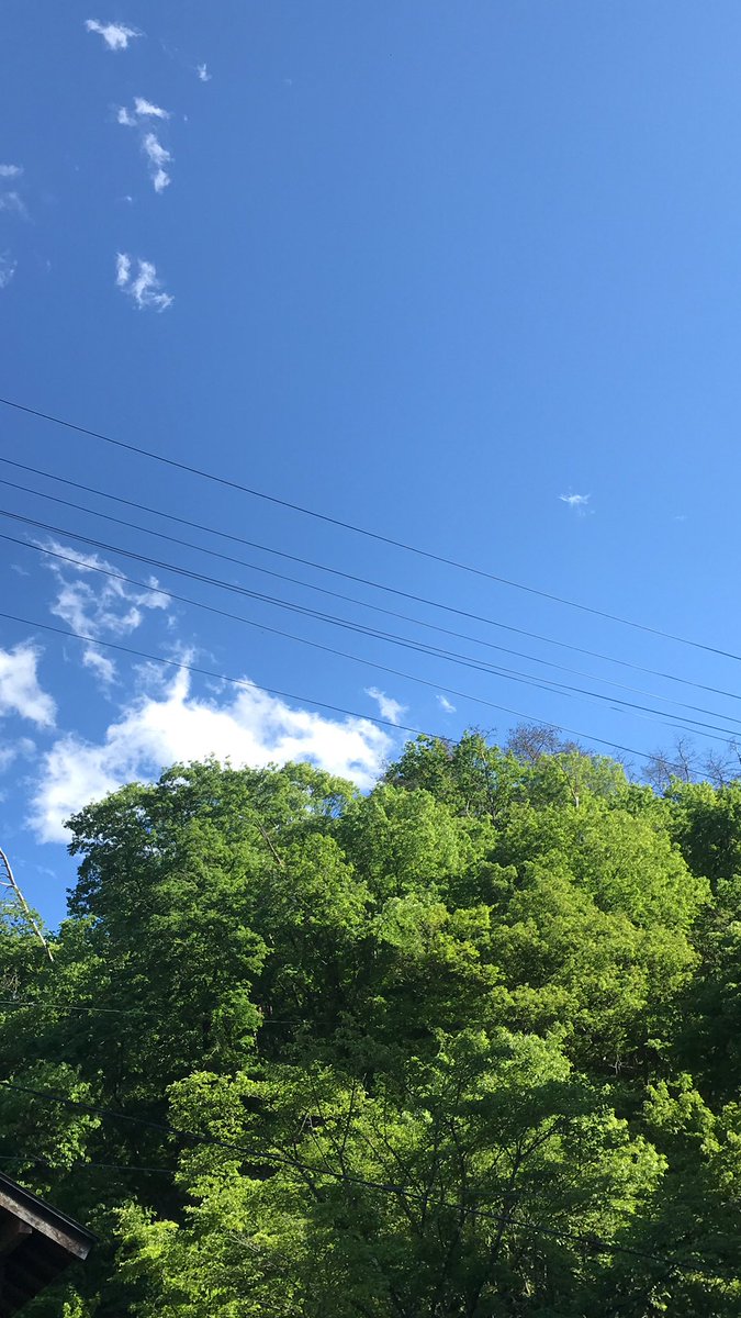 ___Umbrella__'s tweet photo. お久しぶりです ☀︎ ほぼ1ヶ月ぶりです 💭 諸事情で外来3週間ぶりに行ってきます ~ 🏁 https://t.co/JcqCgp7BNy