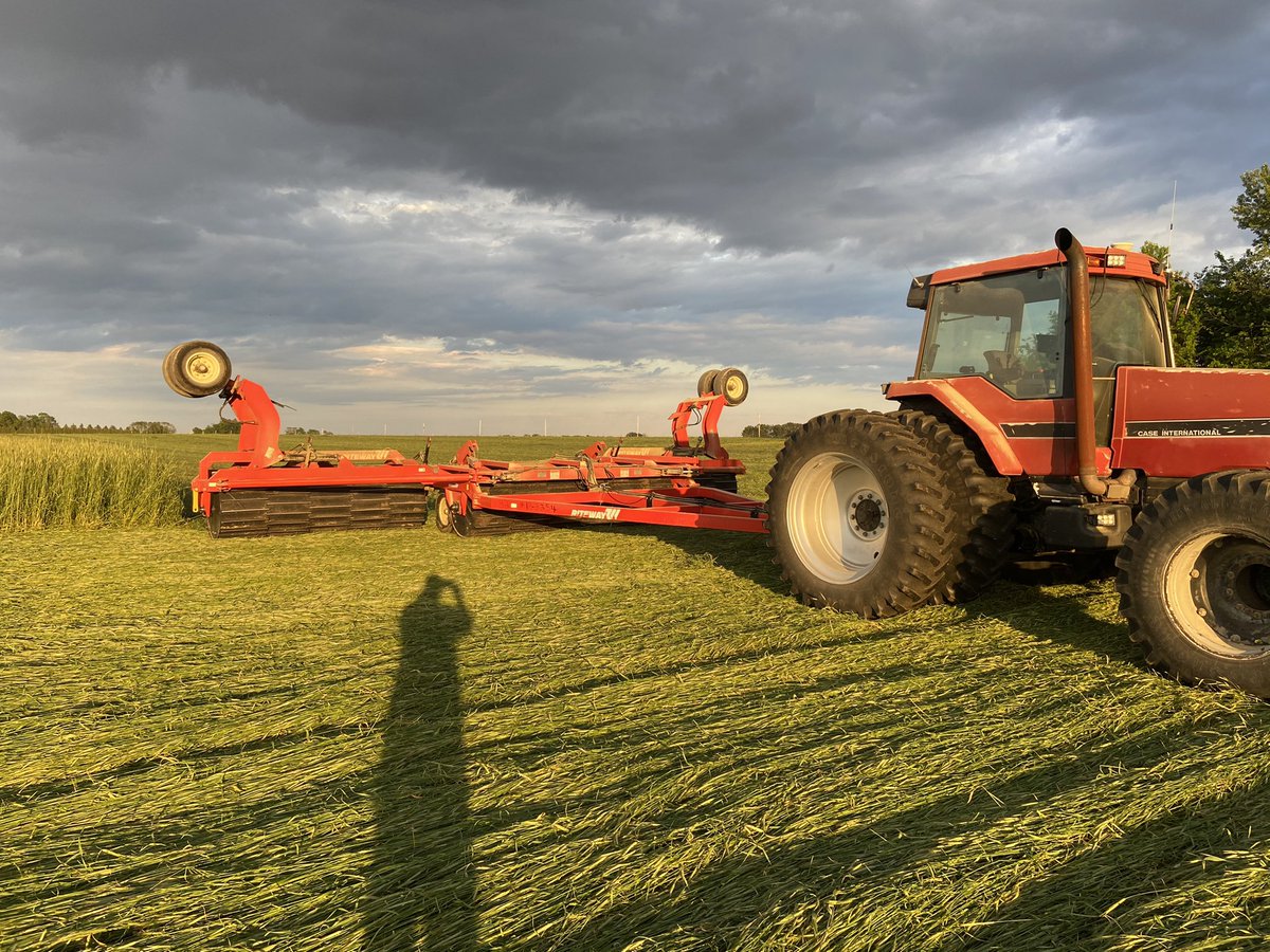 Jamie O'Dowd tweet media