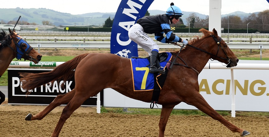 Cambridge Jockey Club tweet media