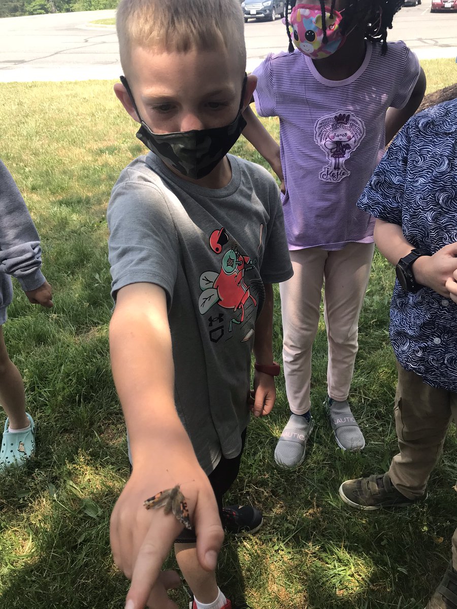 PRES2ndGrade's tweet photo. We raised them and set them free! “It’s not blood, it’s meconium, all the stuff they don’t need to be a butterfly.” Someone was listening❤️#paintedladies https://t.co/AgSkXBtNp3