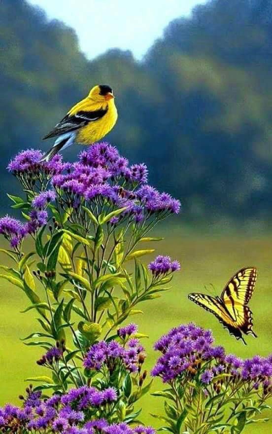 اللهم بخبر سار يشرح صدورنا لهذا اليوم..🕊️🎁🎈🎊