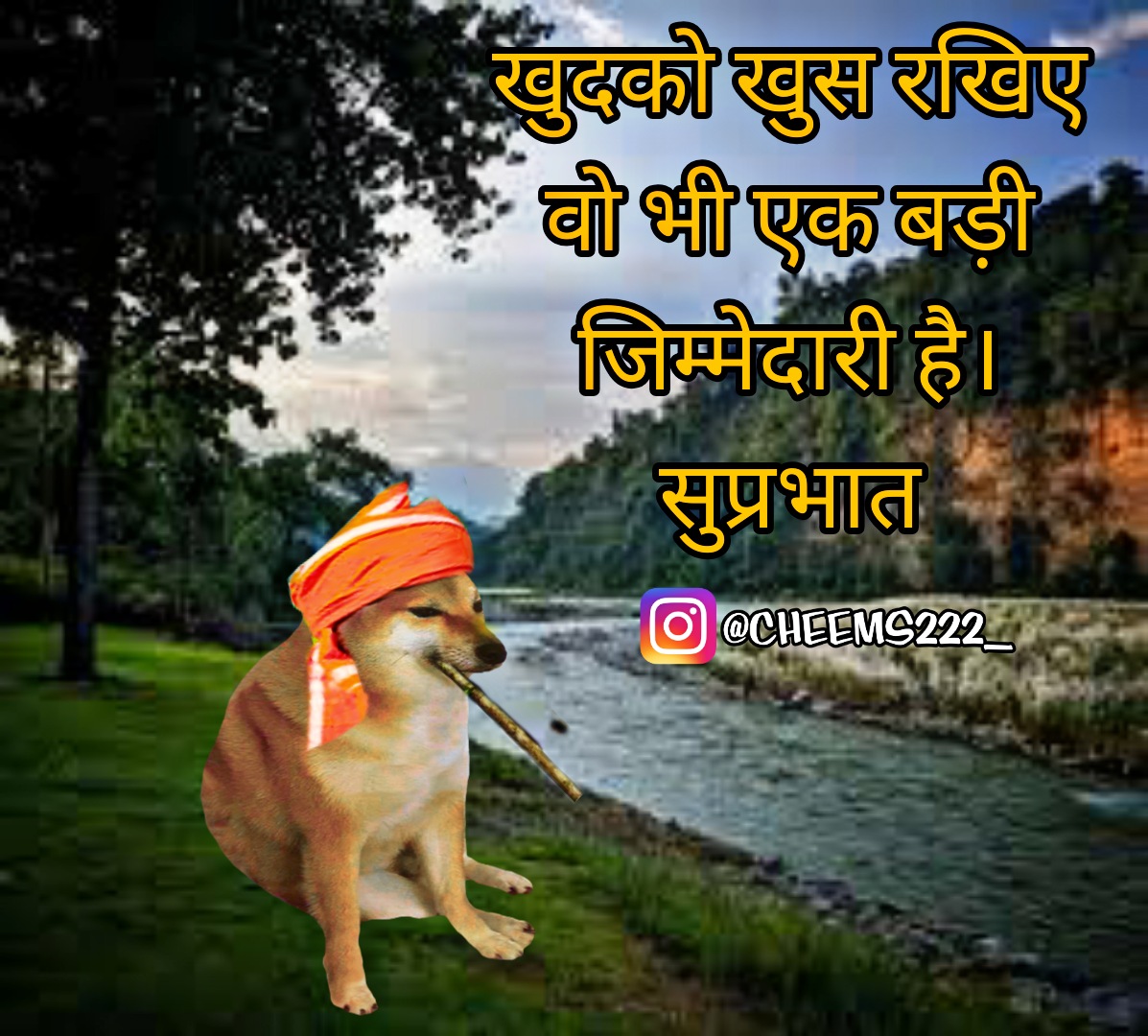 Hound Baba on Twitter: Hound Baba on Twitter: