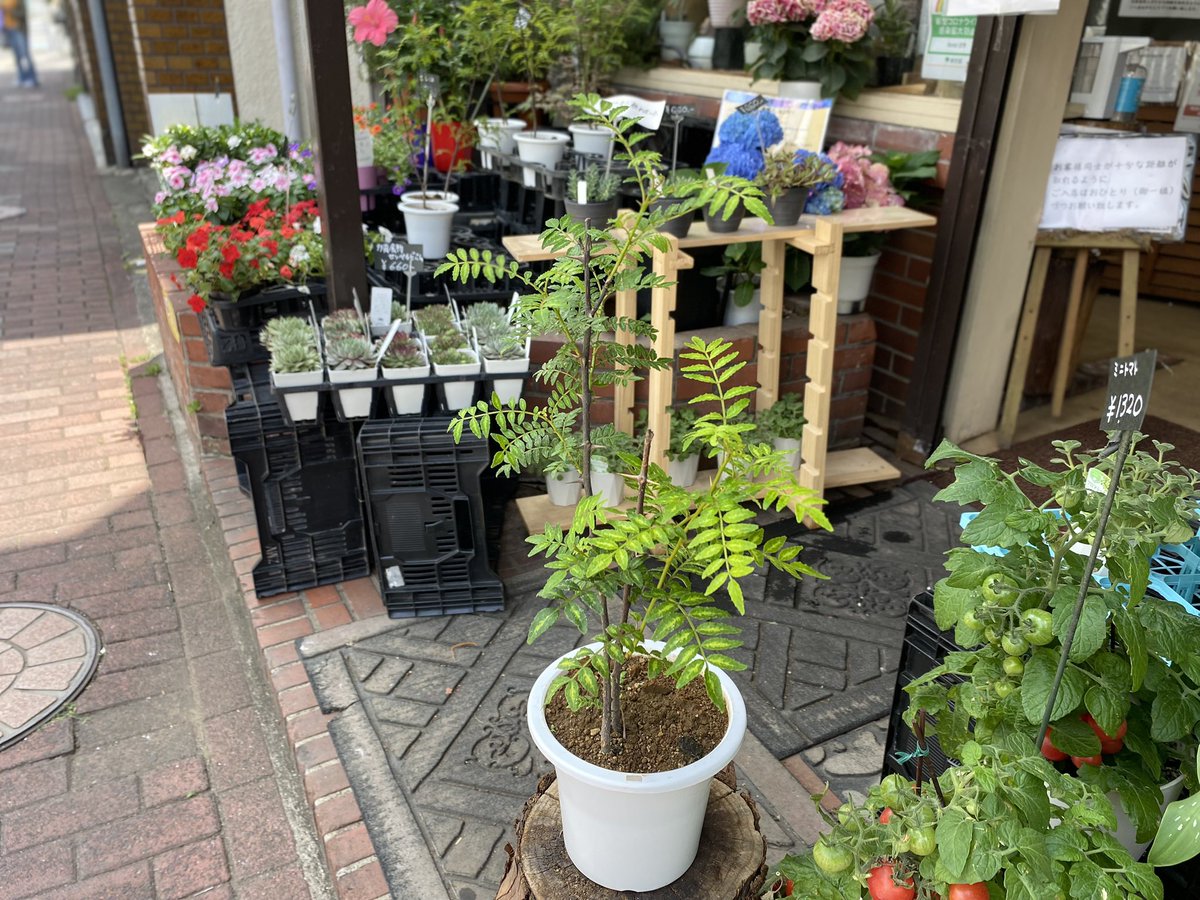 Florist花秀 Hanahide Com Twitter