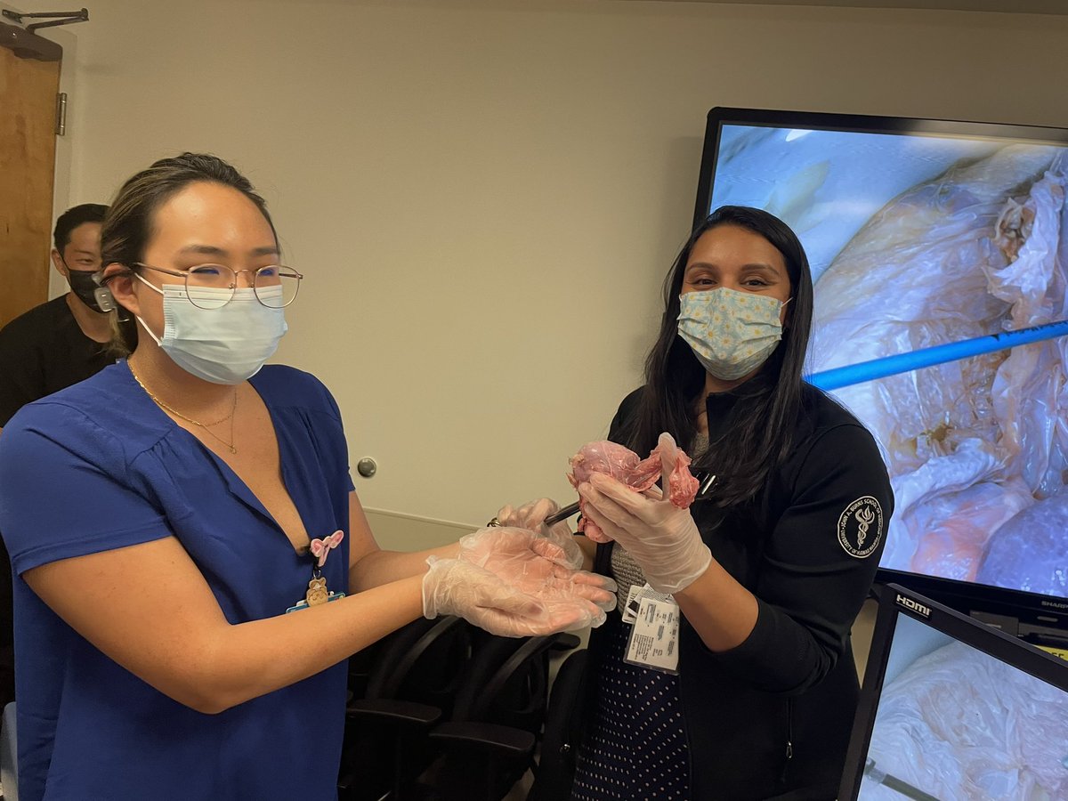 UHobgyn's tweet photo. Just finished our resident TLH sim session led by Dr. McCartin. Good work team! https://t.co/8RHeL8q58y