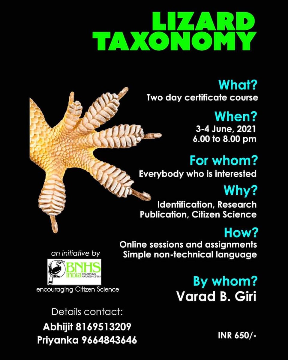 Wish to learn about how to identify lizards? Join this two day interactive online course.