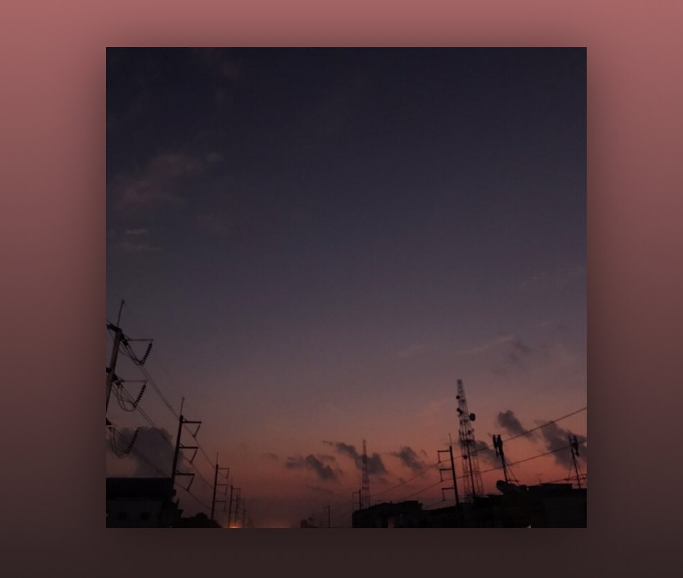 ᴘᴘ|rest| tweet media