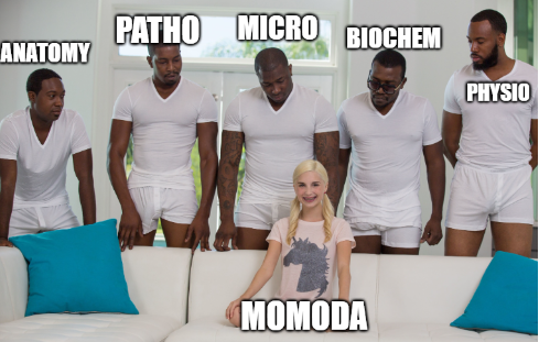 Hǐrōyóshî tweet media