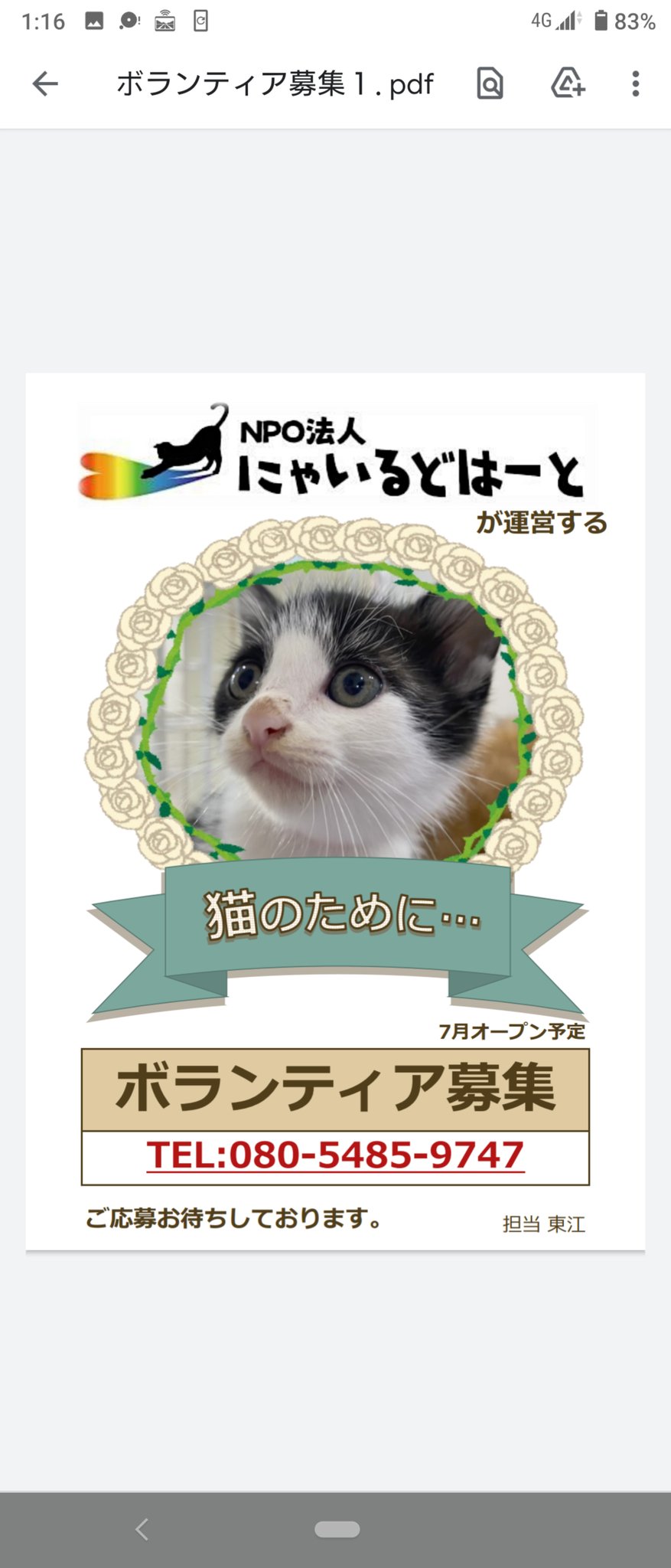 日本 Japan 犬と猫の愛護活動 にゃいるどはーと ７月に豊島区東長崎駅側で エイズっこの 猫カフェをオープンします 私共が初めて運営していくお店です 保護猫は勿論のことエイズっこたちの周知には都会でやる意味は大きい全ては 猫のために