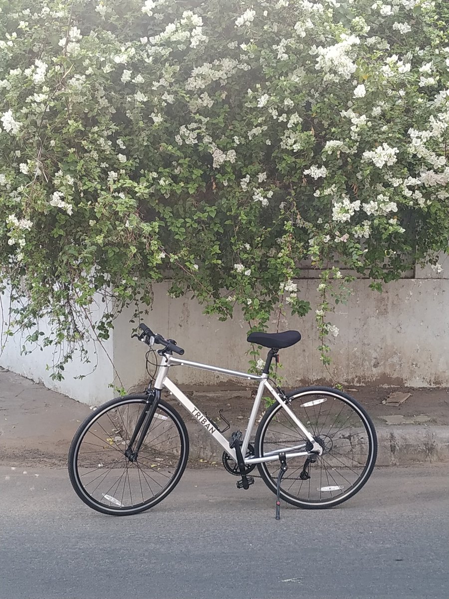 bikers_i's tweet photo. Happy World Bicycle Day to Everyone! 

#cycling #bicycleday #BICYCLE #happy  #Trending #WorldBicycleDay2021 #cyclinglifestyle https://t.co/u9YGbfkmW7