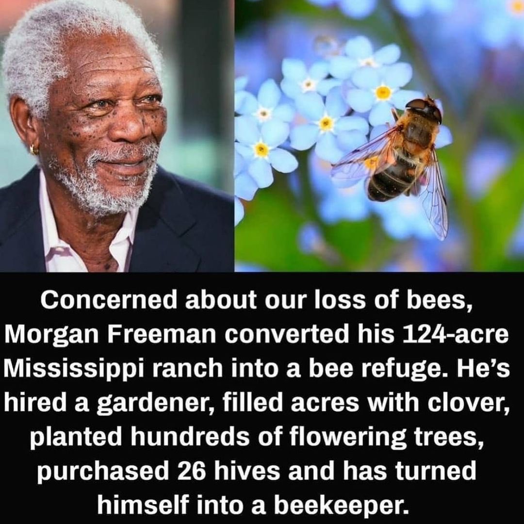 shreecreative's tweet image. #bee #rescuebee #savebee #biodiversity #ClimateAction #agricultural can’t be any more better deed then this! Nobel work .  This is my plans to do soon .. bees are our angels . They work hard to feed us . What do we give back to them? @RebeccaH2030 @UNEP
