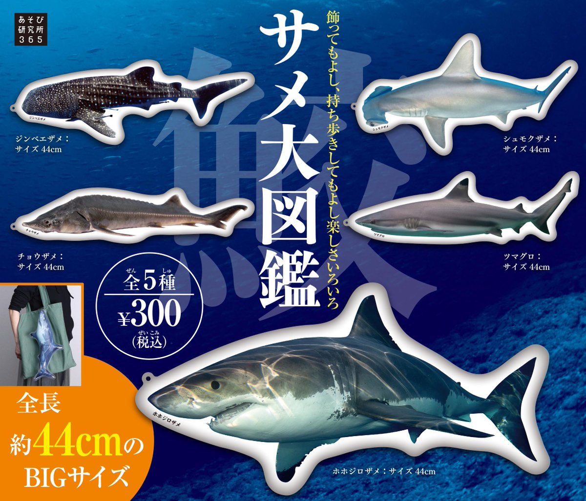 asobi_365 tweet picture