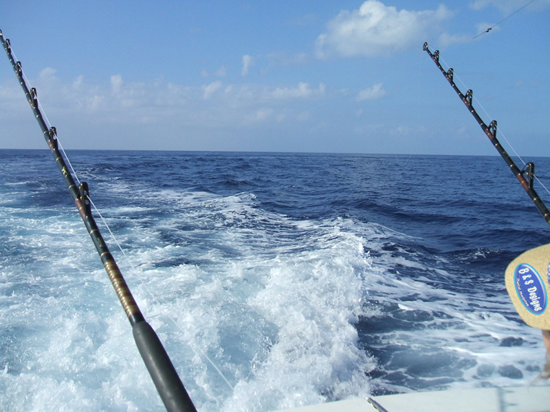bandsdesignsdm's tweet photo. It's #Amazing what a day of #fishing out in the #Gulf of #Mexico will do for your #mentalhealth! 🎣 https://t.co/rm60a2NQgj can #help you take your #ideas to the #NextLevel! ☝️

#thursdayvibes #fishing #BandSDesigns #DigitalMarketing #promotions #startups #business #success https://t.co/Q6JBALx4uU