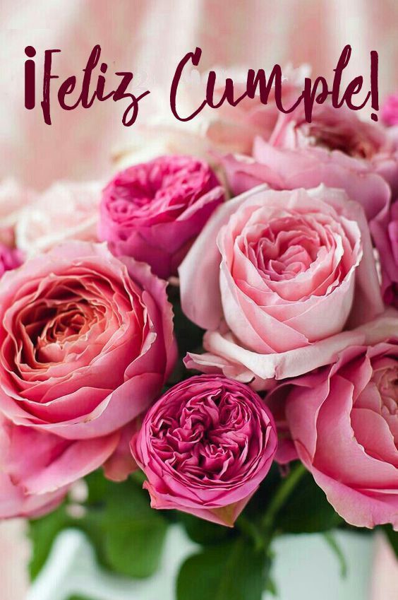 <a href="/carozo_narizota/">Carozo y Narizota</a> 
¡¡¡¡¡FELIZ CUMPLEAÑOS NARIZOTA!!!!
¡¡¡¡¡¡TE MANDO UN BESO SUPER GIGANTESCO!!!!!!