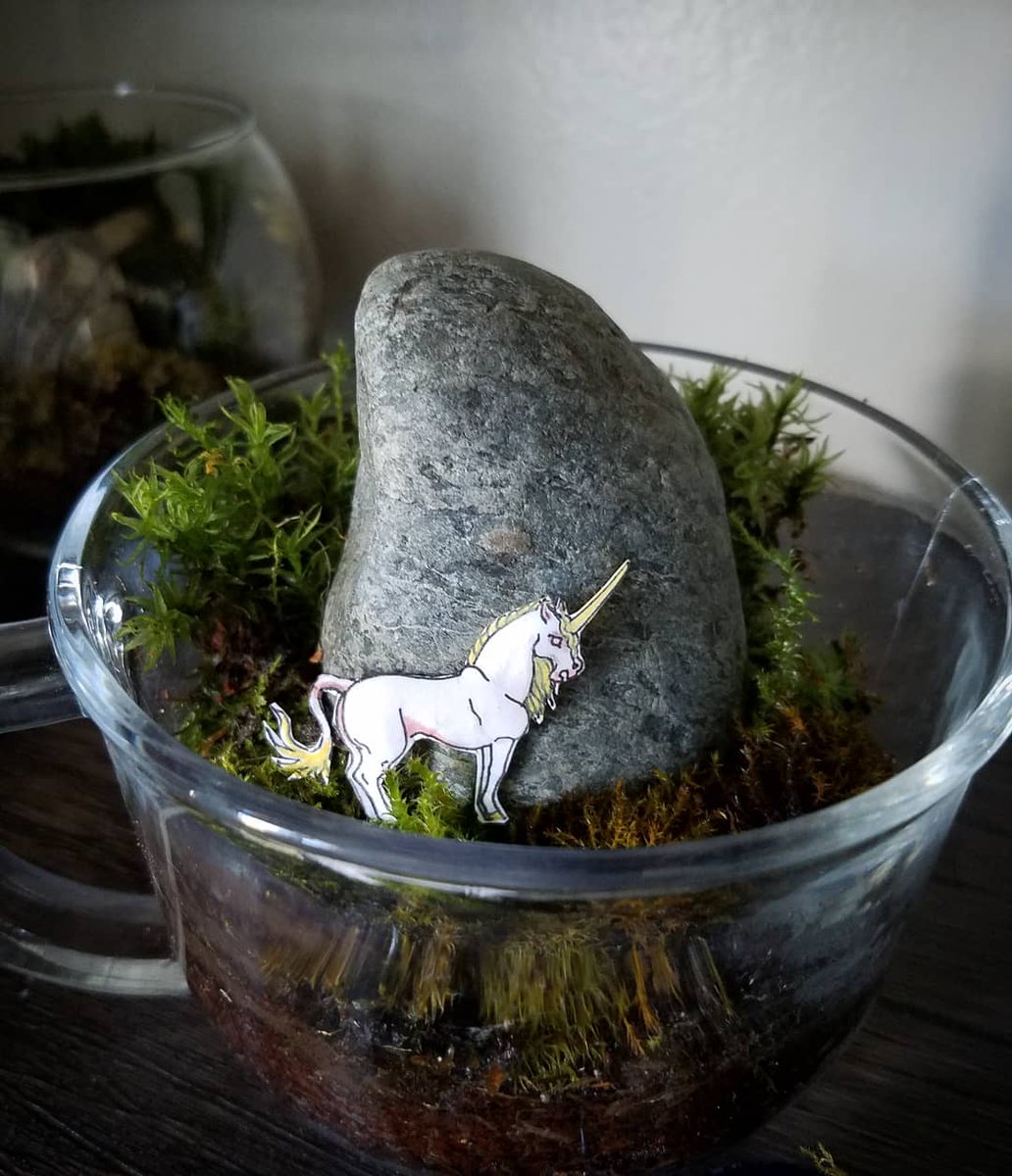 flame_point's tweet photo. A tiny tea cup unicorn for today's #junicorn!
#unicorn #mossarium #terrarium #miniterrarium #moss https://t.co/fR9Fr5fjhD
