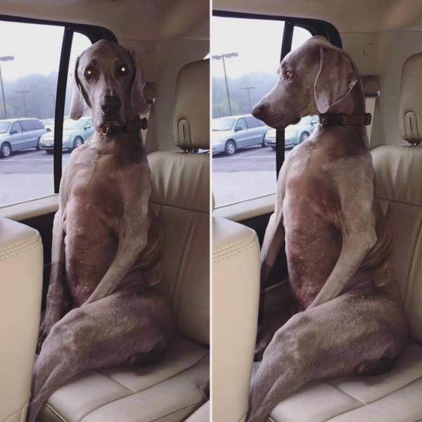 Podivejte Se Na Tweet Uzivatele Wtbw Ze Dne 3 6 21 Na Twitteru Twitter