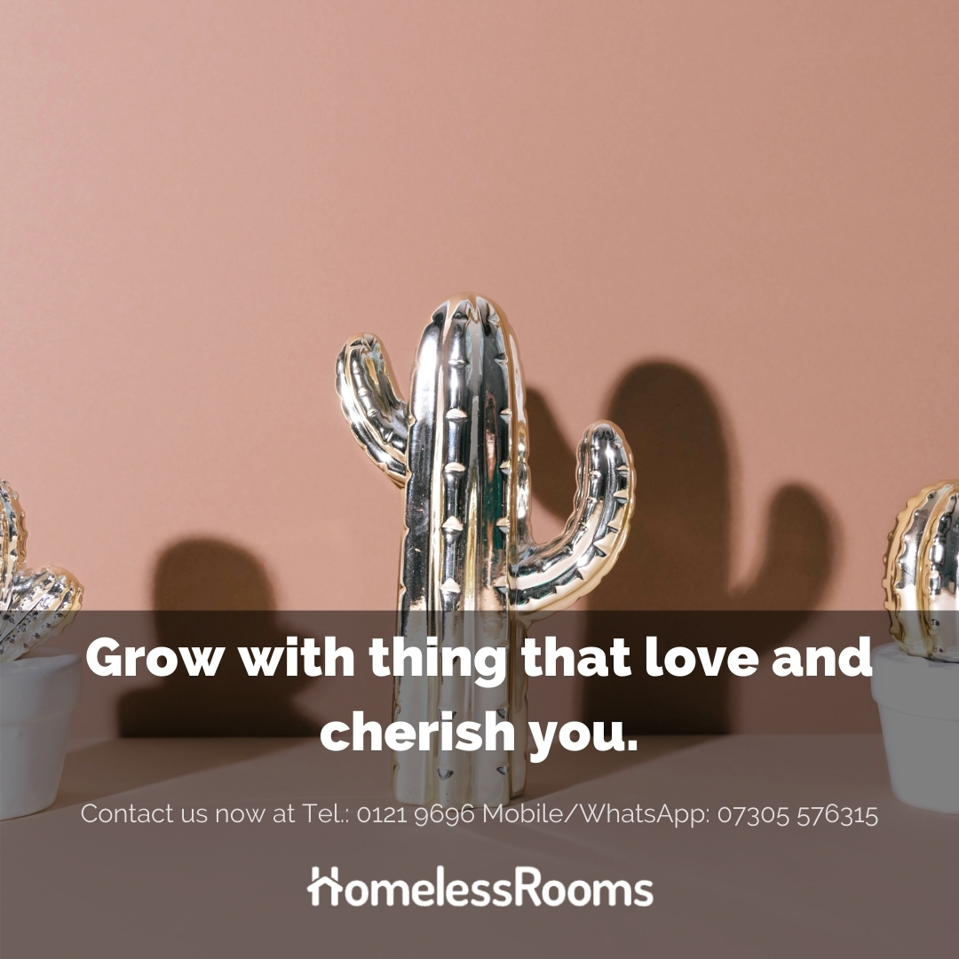 Keep them close and cherish them in our rooms!

Contact us now at Tel.: 0121 9696 Mobile/WhatsApp: 07305 576315
or visit us at homelessroomsbirmingham.co.uk